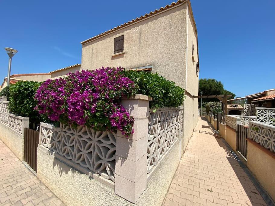 Le Barcares , Maison , 03 Chambres Екстериор снимка